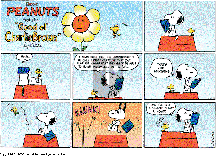 Peanuts on Saturday June 7, 2003 Comic Strip