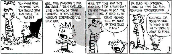Calvin and Hobbes on Thursday May 2, 1991 Comic Strip