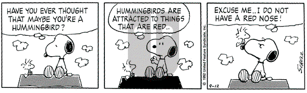 Peanuts on Saturday September 12, 1992 Comic Strip