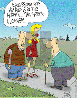 The Flying McCoys on Saturday November 30, 2013 Comic Strip