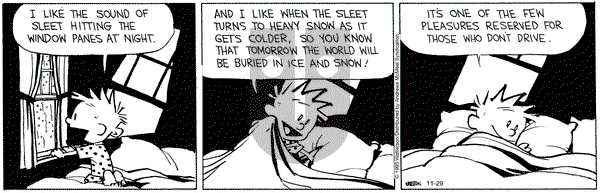 Calvin and Hobbes on Saturday November 29, 2025 Comic Strip