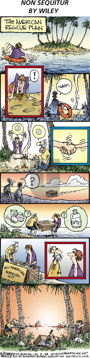 Non Sequitur - Sunday May 28, 2023 Comic Strip
