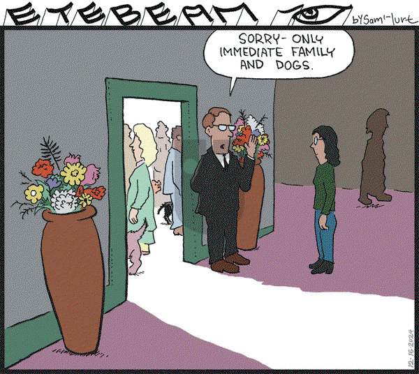 Eyebeam on Monday December 16, 2024 Comic Strip
