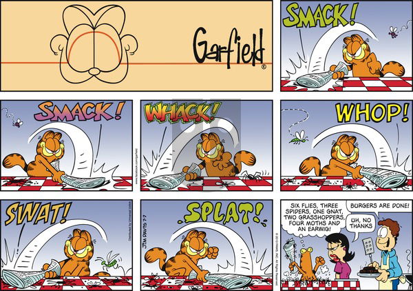 Garfield on Sunday July 7, 2013 Comic Strip