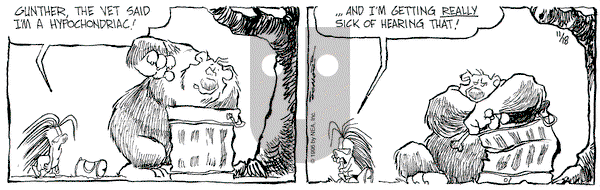 The Grizzwells on Monday November 18, 1996 Comic Strip