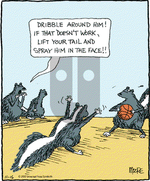 In the Bleachers on Saturday November 16, 2002 Comic Strip