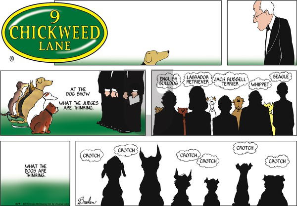 9 Chickweed Lane on Sunday December 4, 2016 Comic Strip