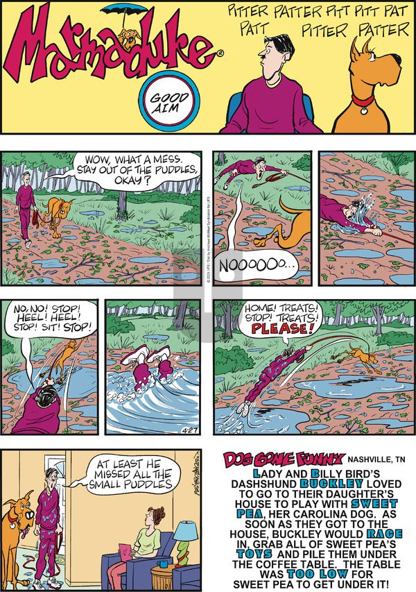 Marmaduke on Sunday April 27, 2025 Comic Strip