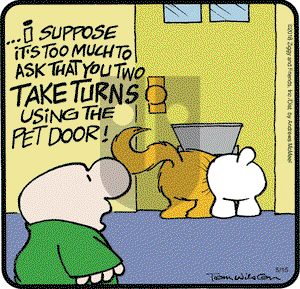 Ziggy on Tuesday May 15, 2018 Comic Strip