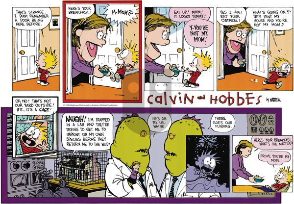 Calvin and Hobbes - Sunday February 9, 2025 Comic Strip
