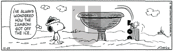 Peanuts on Wednesday December 29, 1993 Comic Strip