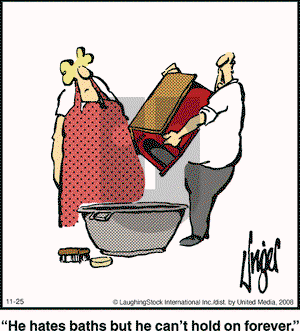 Herman on Tuesday November 25, 2008 Comic Strip