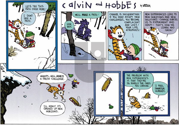 Calvin and Hobbes on Sunday December 28, 2025 Comic Strip