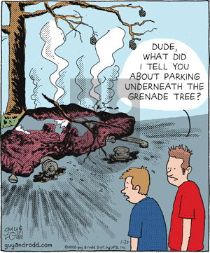 Brevity on Wednesday January 30, 2008 Comic Strip