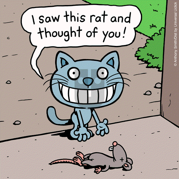 Cattitude — Doggonit - Tuesday June 25, 2024 Comic Strip