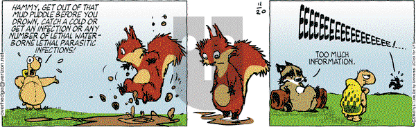 Over the Hedge on Thursday November 20, 2014 Comic Strip