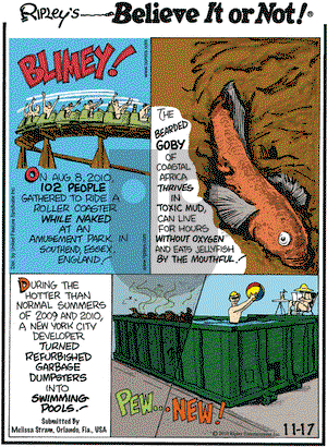 Ripley's Believe It or Not on Wednesday November 17, 2010 Comic Strip