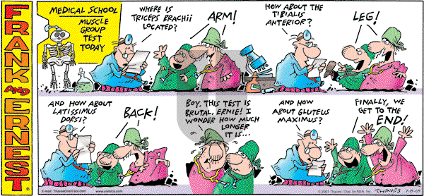 Frank and Ernest on Sunday July 19, 2009 Comic Strip