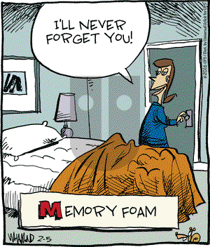 Reality Check on Friday February 5, 2016 Comic Strip