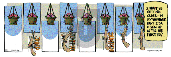 Bob the Squirrel on Monday May 19, 2025 Comic Strip