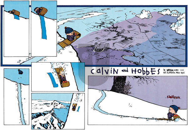 Calvin and Hobbes on Sunday February 21, 1993 Comic Strip