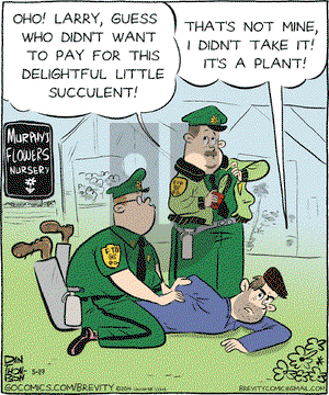 Brevity on Tuesday May 27, 2014 Comic Strip