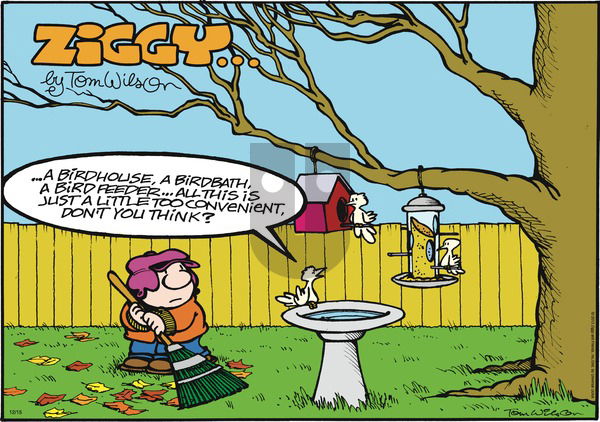 Ziggy on Sunday December 15, 2013 Comic Strip