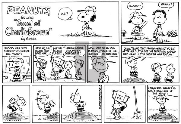 Peanuts on Sunday June 15, 1969 Comic Strip