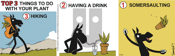 Dark Side of the Horse - Friday July 12, 2024 Comic Strip