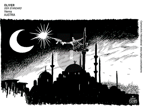 Views of the World on Sunday January 17, 2016 Comic Strip
