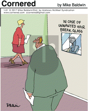 Cornered on Tuesday January 31, 2017 Comic Strip