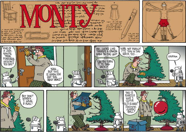 Monty on Sunday December 20, 2015 Comic Strip