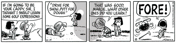 Peanuts on Friday June 19, 1981 Comic Strip