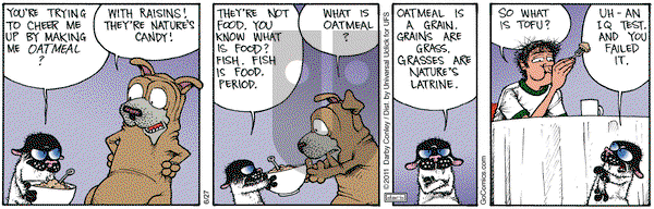 Get Fuzzy on Thursday June 27, 2013 Comic Strip