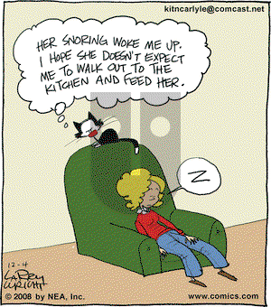 Kit 'N' Carlyle on Thursday December 4, 2008 Comic Strip