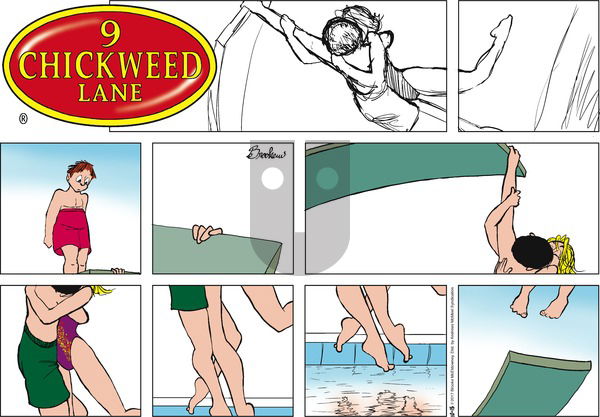 9 Chickweed Lane on Sunday October 15, 2017 Comic Strip