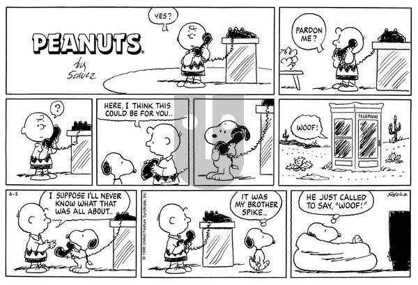 Peanuts on Sunday June 2, 1996 Comic Strip