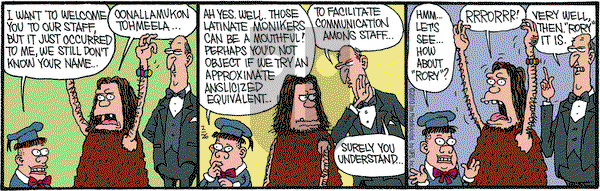 Monty on Friday February 26, 2010 Comic Strip