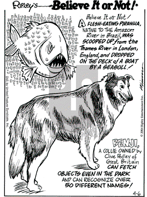Ripley's Believe It or Not on Tuesday April 6, 2004 Comic Strip