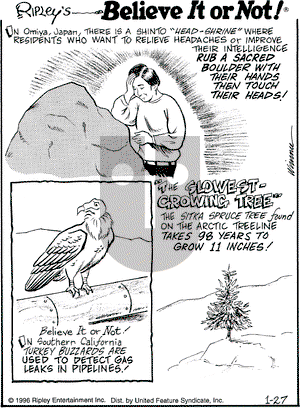 Ripley's Believe It or Not on Saturday January 27, 1996 Comic Strip