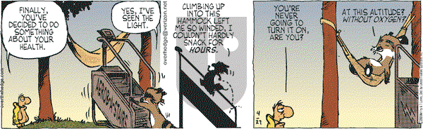 Over the Hedge on Wednesday May 13, 2009 Comic Strip