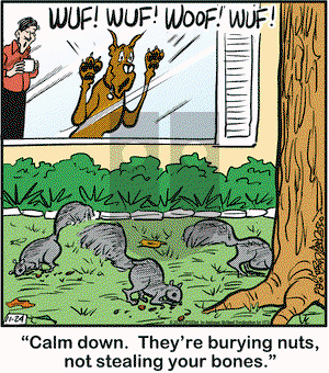 Marmaduke on Tuesday November 24, 2020 Comic Strip