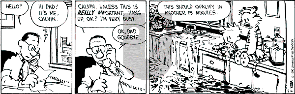 Calvin and Hobbes - Thursday August 16, 1990 Comic Strip
