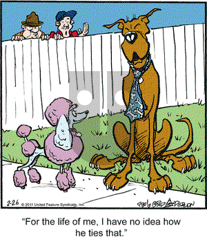 Marmaduke on Saturday February 26, 2011 Comic Strip
