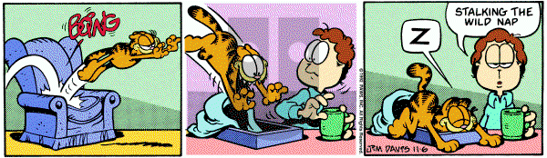 Garfield on Friday November 6, 1992 Comic Strip