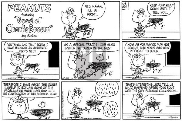 Peanuts on Sunday October 21, 1979 Comic Strip