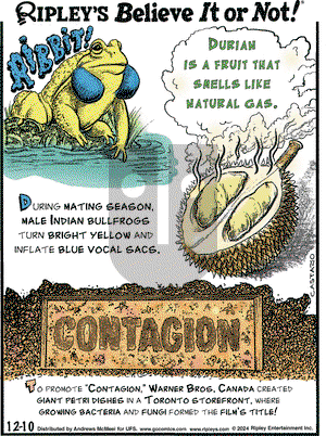 Ripley's Believe It or Not - Tuesday December 10, 2024 Comic Strip