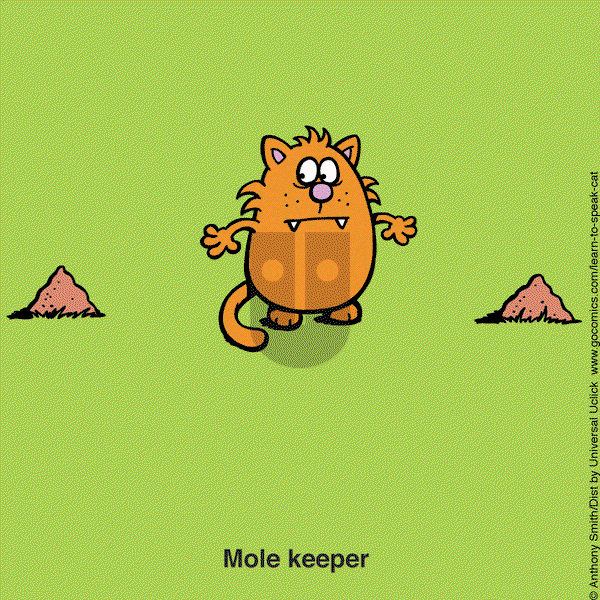 Learn to Speak Cat on Monday May 5, 2025 Comic Strip