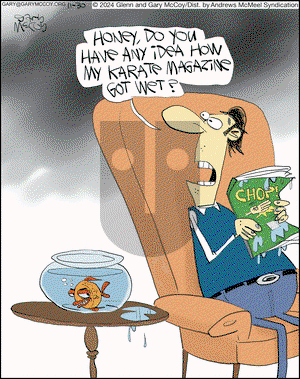 The Flying McCoys - Saturday November 30, 2024 Comic Strip