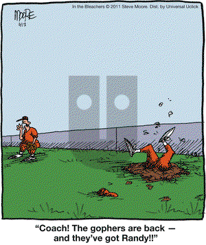 In the Bleachers - Wednesday July 13, 2011 Comic Strip